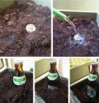 How to make your own beer?